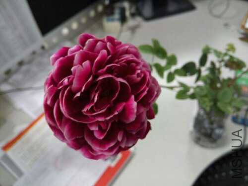 UC_Photo_044.jpg