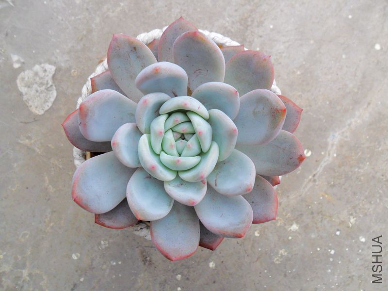 SAM_0828_����.jpg