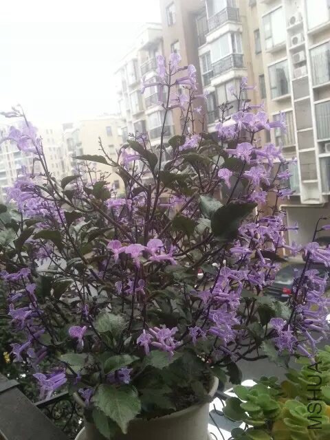 �ô�һ��
