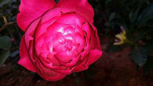 20151024_165727.jpg