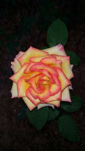 20151024_165735.jpg