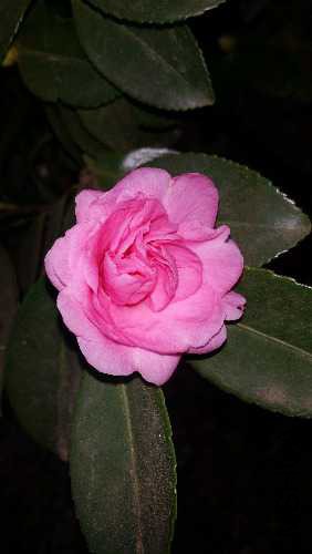 20151024_170110.jpg