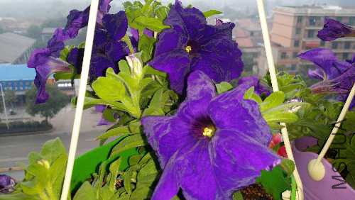 20151026_071035.jpg