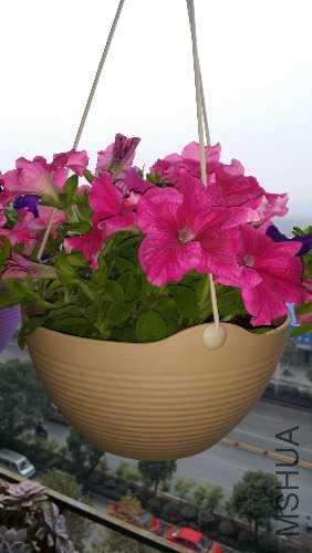20151026_071011.jpg