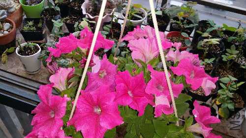 20151026_070857.jpg