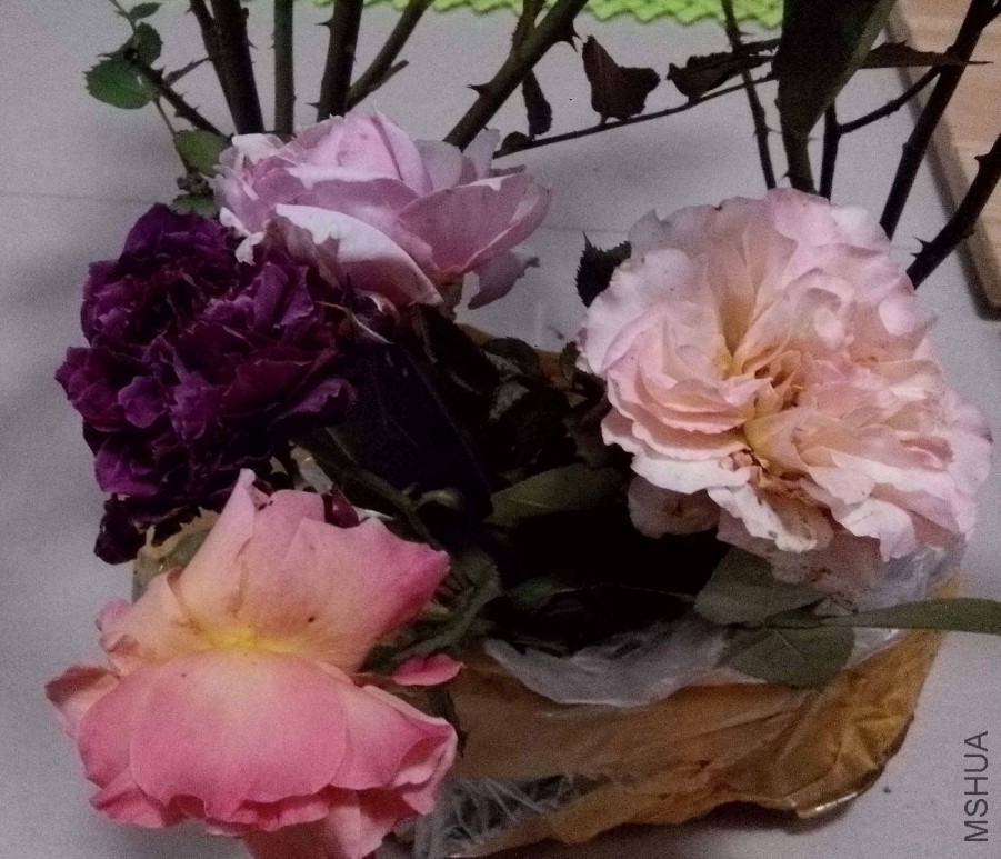 ��Ƭ_20151025_213942.jpg