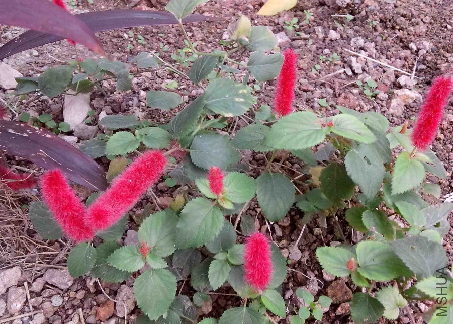 ��Ƭ_20151024_094112.jpg