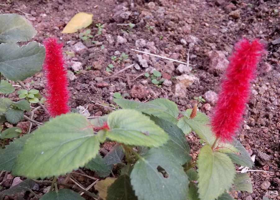 ��Ƭ_20151024_094139.jpg