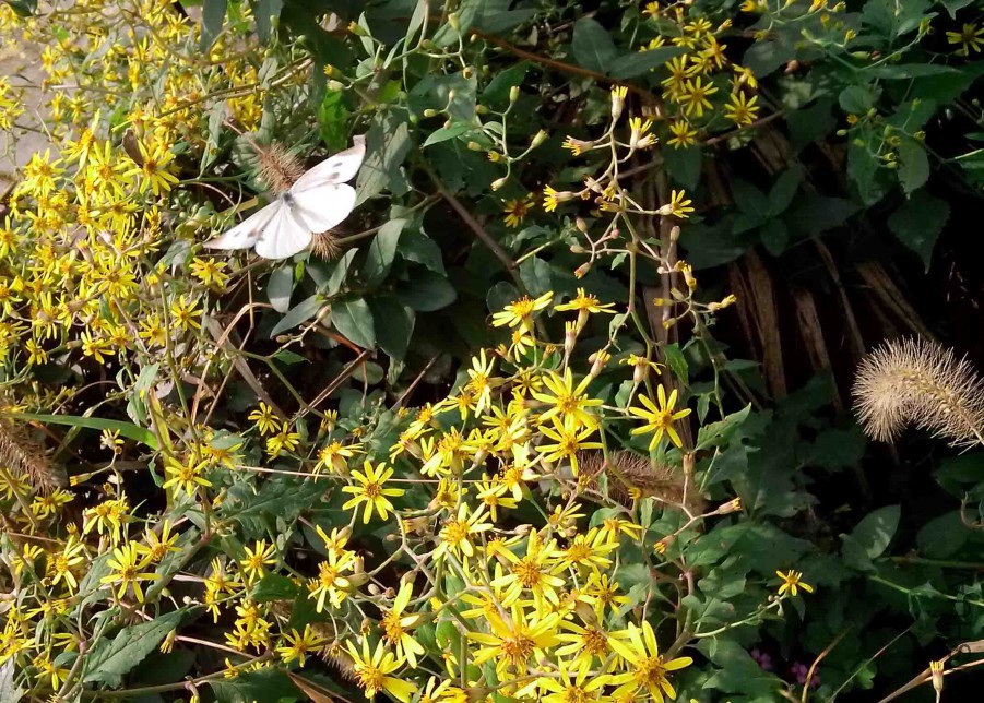 ��Ƭ_20151024_092943.jpg