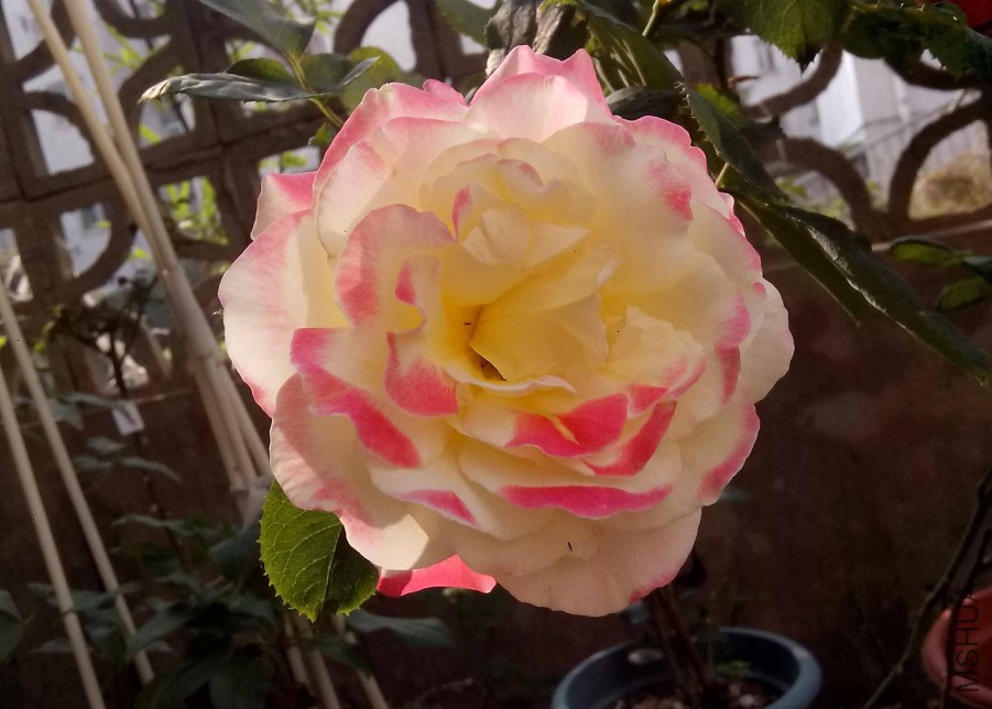 ��Ƭ_20151024_092832.jpg