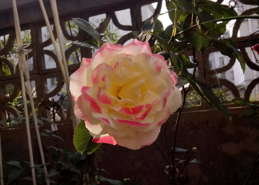 ��Ƭ_20151024_092825.jpg