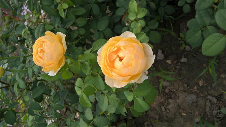WP_20150818_09_46_49_Pro.jpg