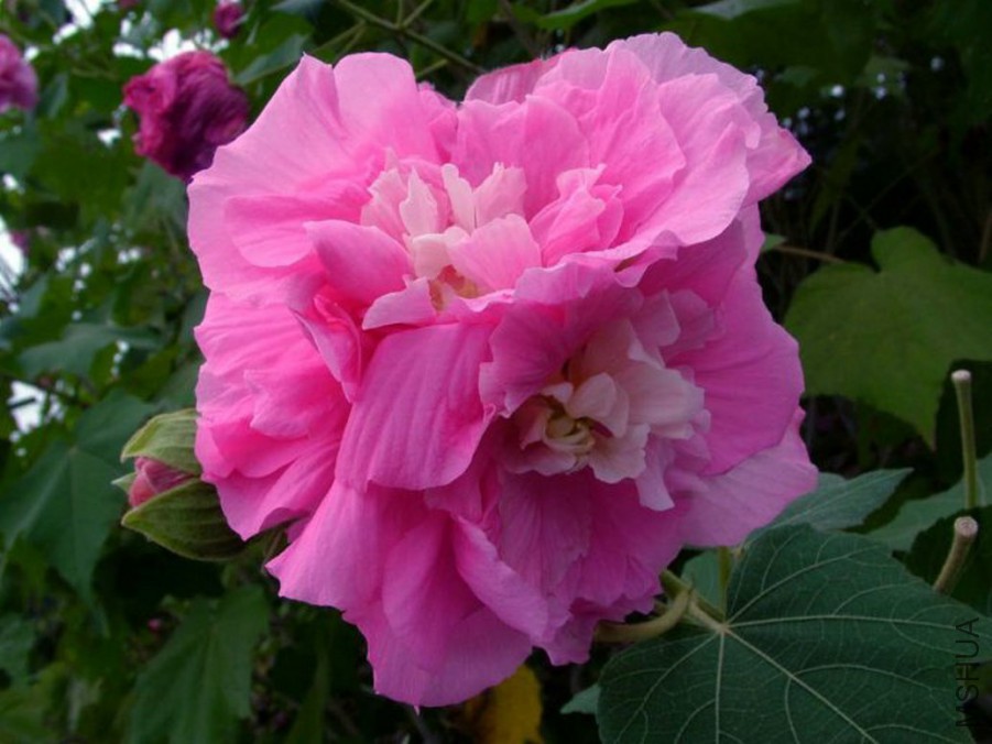 201111010043.jpg