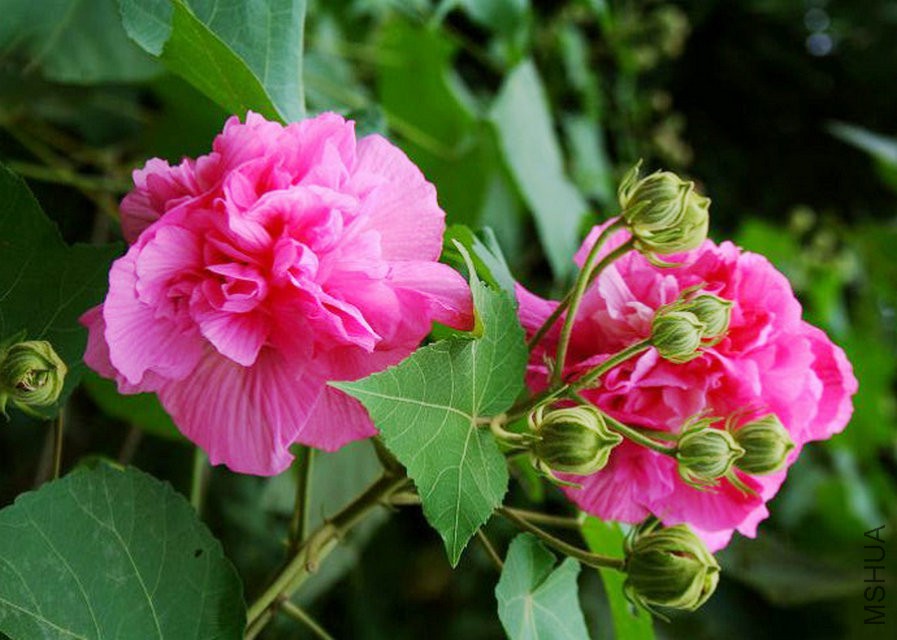 201111010046.jpg