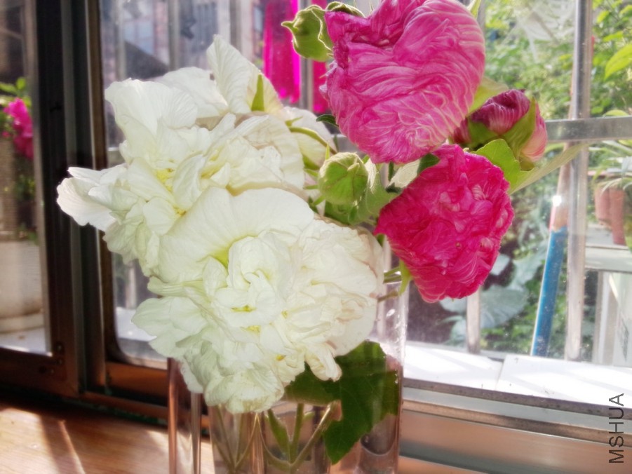 IMG20151025102500.jpg