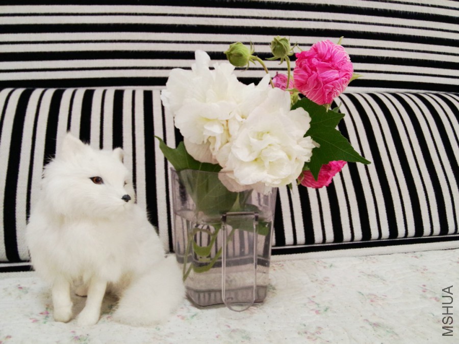IMG20151025104554.jpg
