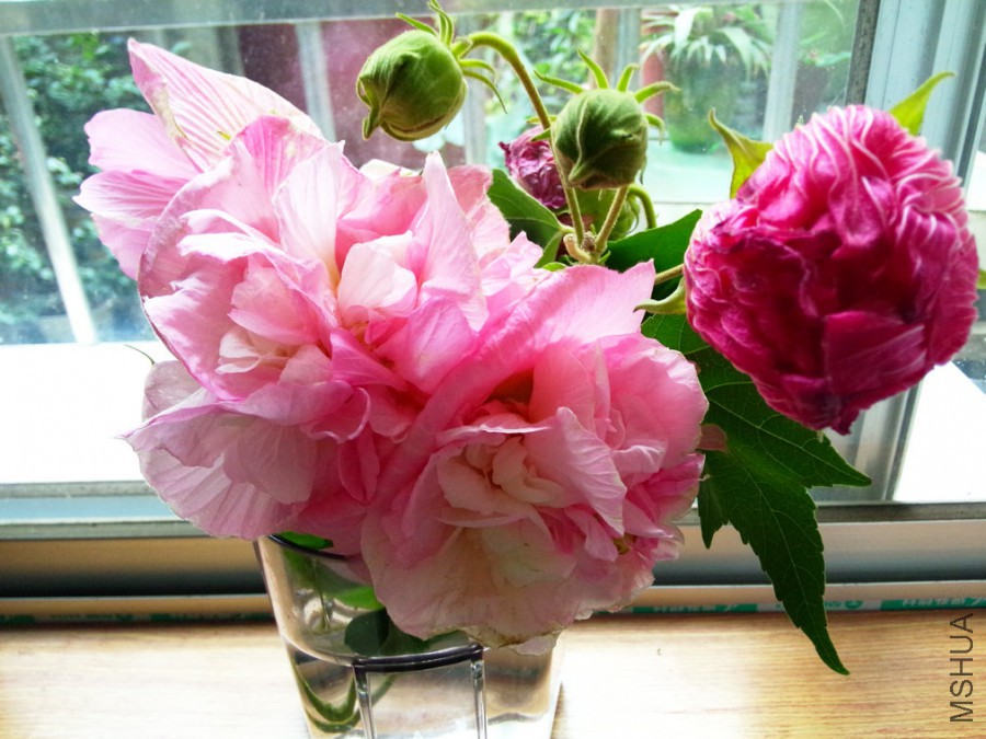 IMG20151025155728.jpg