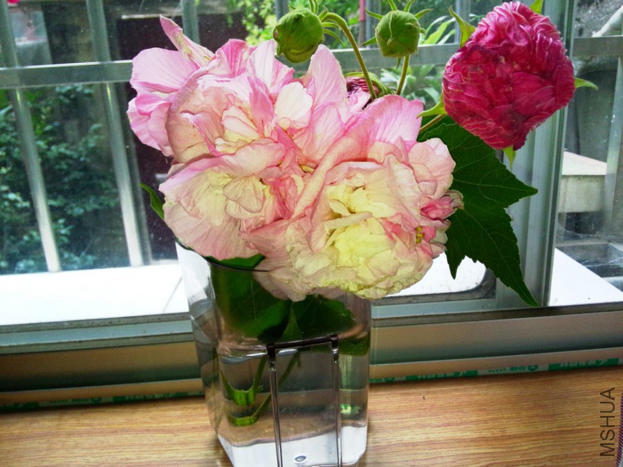 IMG20151025155804.jpg