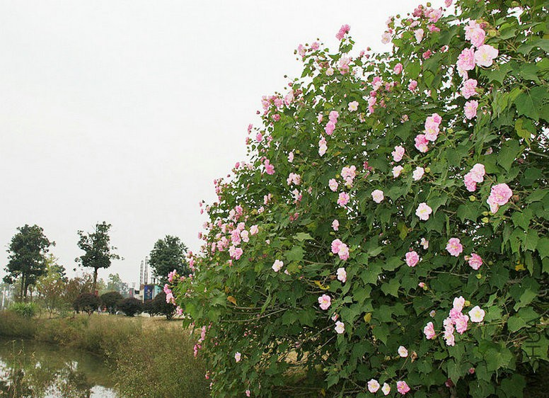 userid253759time20101029155027.jpg