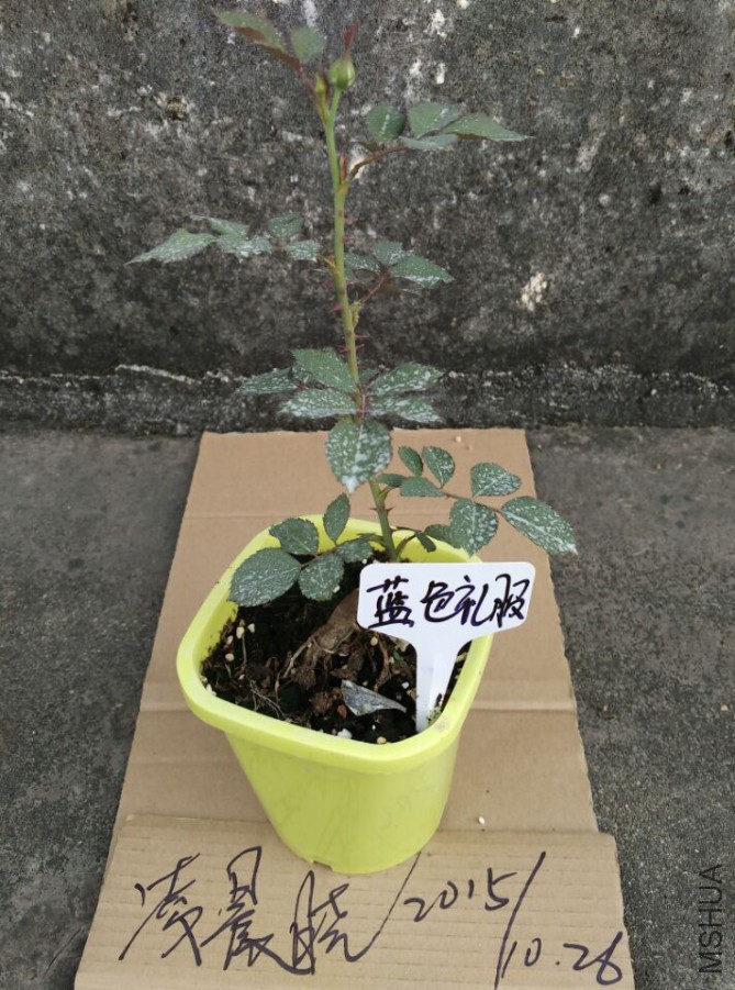 QQͼƬ20151026201545.jpg