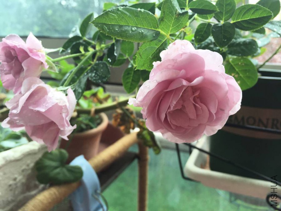 ��ɫ�籩2015.10 (1)_1024_768_70.jpg