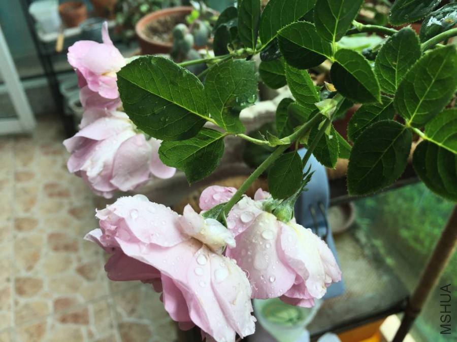 ��ɫ�籩2015.10 (2)_1024_768_70.jpg