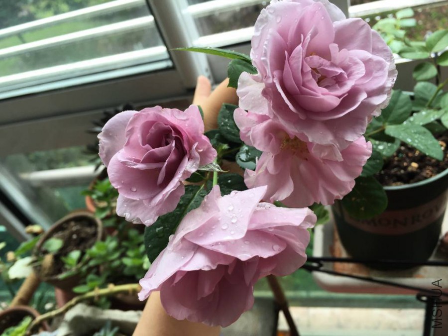 ��ɫ�籩2015.10 (3)_1024_768_70.jpg