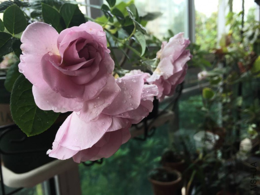 ��ɫ�籩2015.10_1024_768_70.jpg