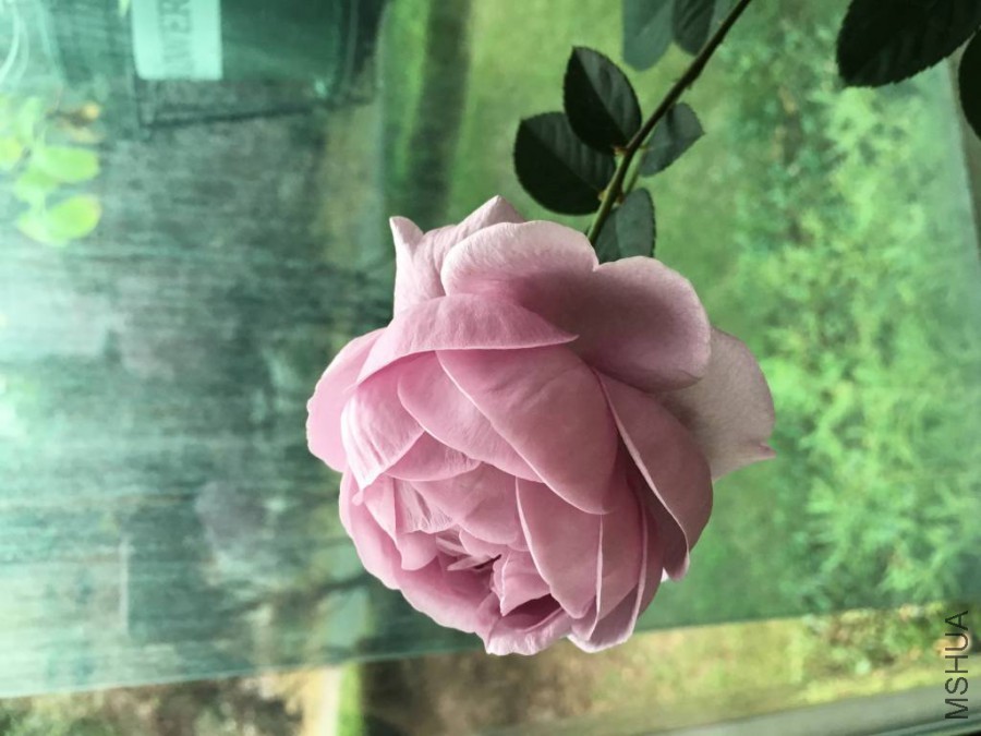 ��ɫ�籩2015.11 (3)_1024_768_70.jpg
