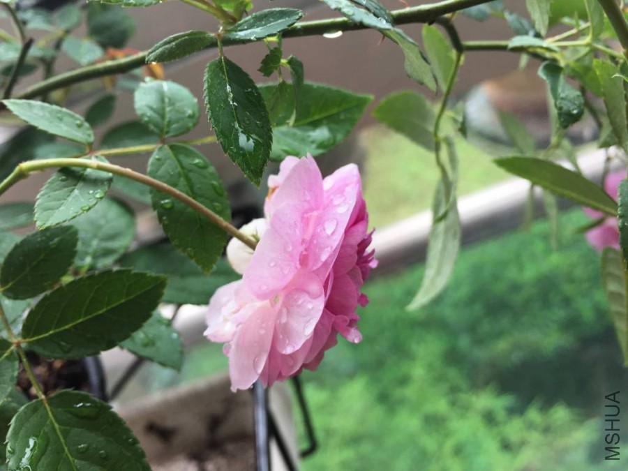 �꼧����2015.10 (2)_1024_768_70.jpg