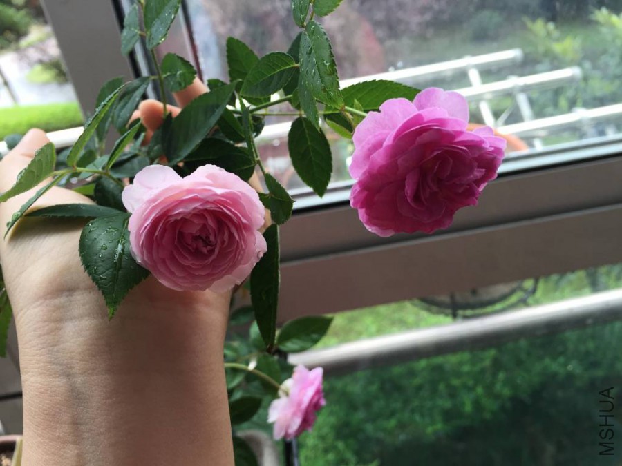 �꼧����2015.10_1024_768_70.jpg