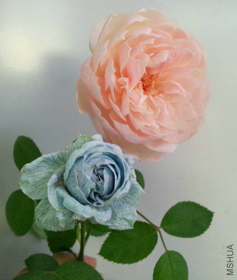 QQͼƬ20151027161308.jpg