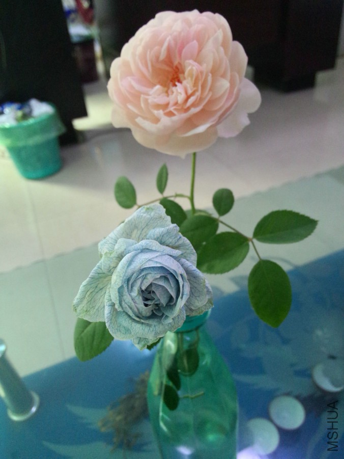 QQͼƬ20151027161256.jpg