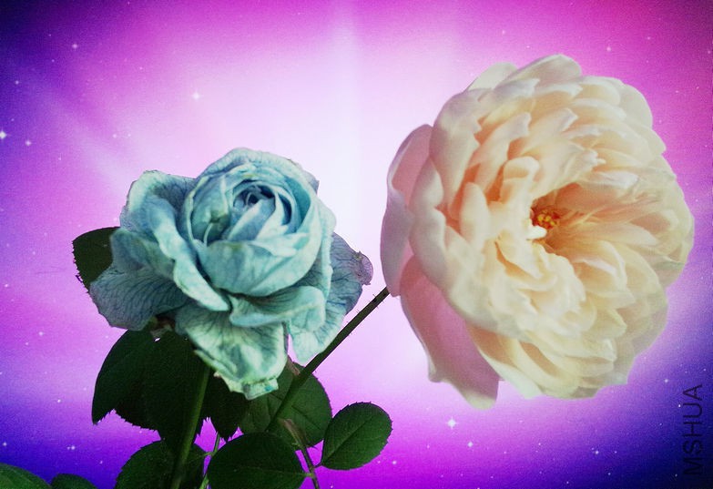 QQͼƬ20151027161243.jpg