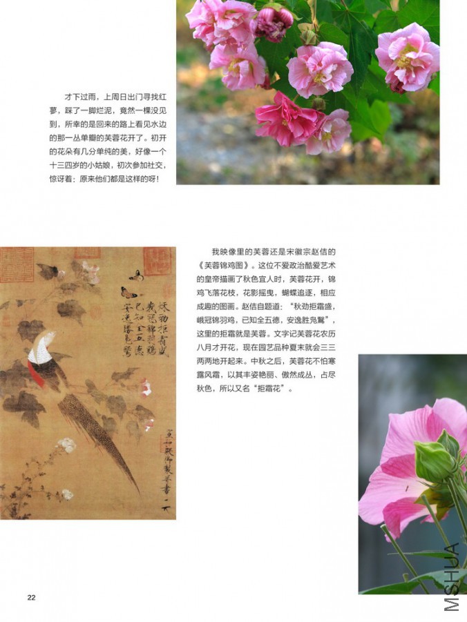 ��Ҳ��ʮ����22 (2).jpg