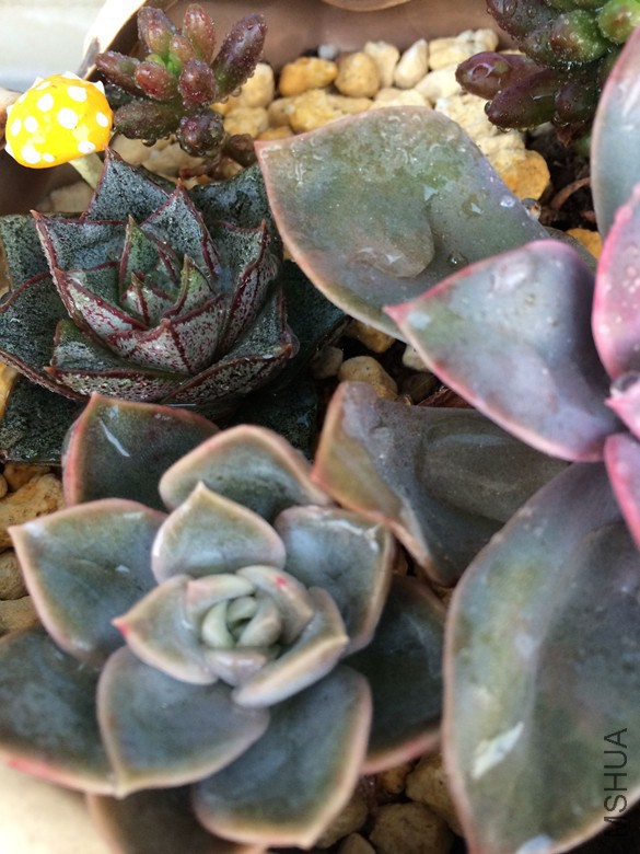 QQͼƬ20151028091324_����.jpg