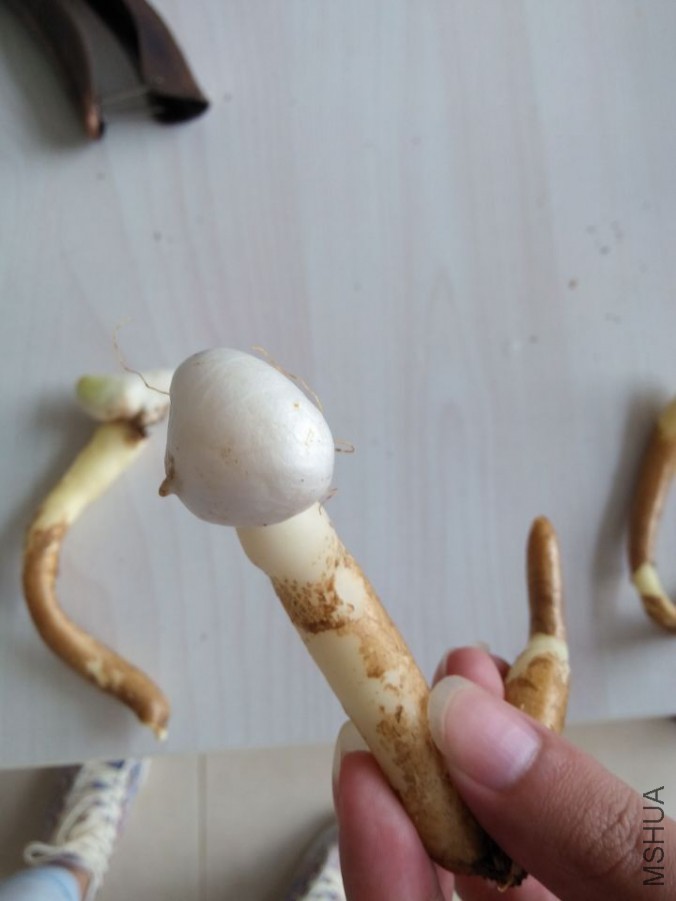 QQͼƬ20151028181813.jpg