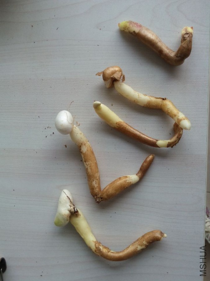 QQͼƬ20151028181828.jpg