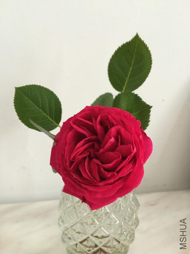 ���� 2015.05.02.JPG