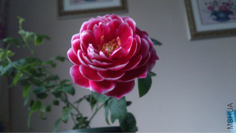 ����