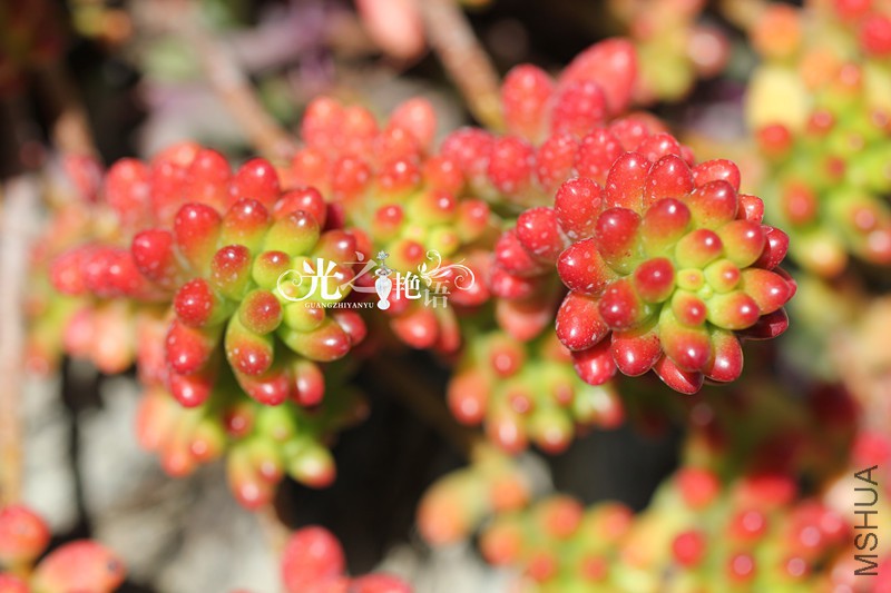 20151029 018_����.jpg
