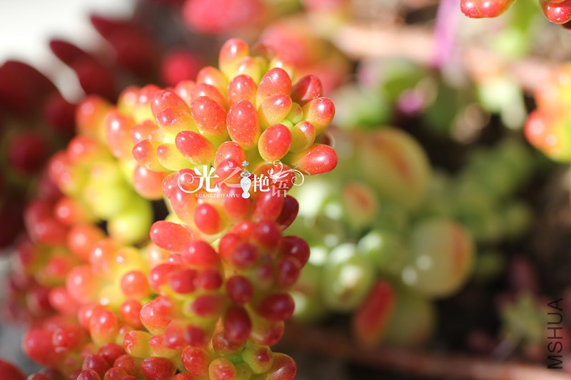 20151029 019_����.jpg