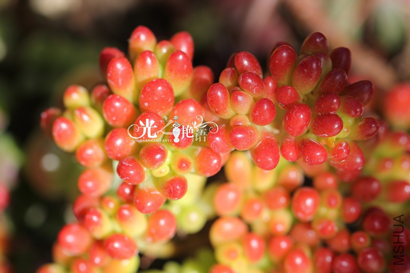 20151029 020_����.jpg