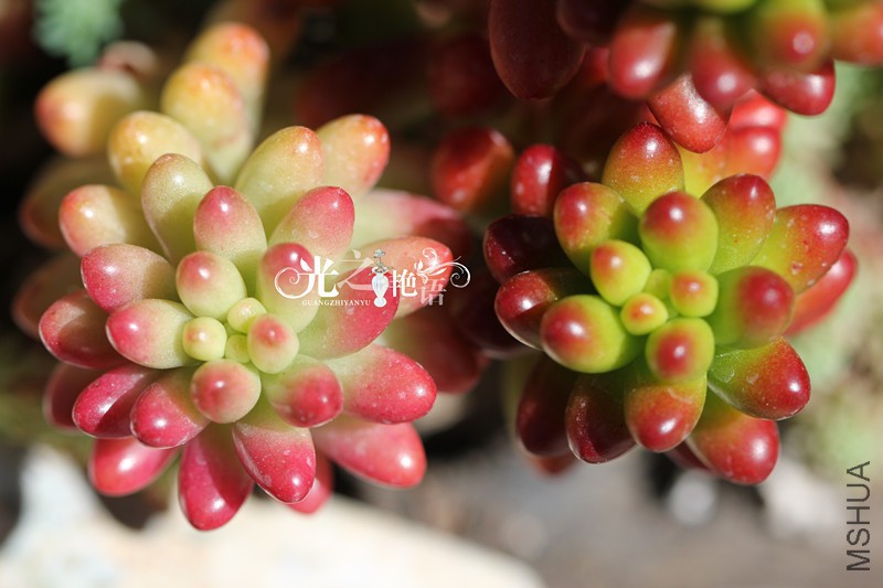 20151029 025_����.jpg