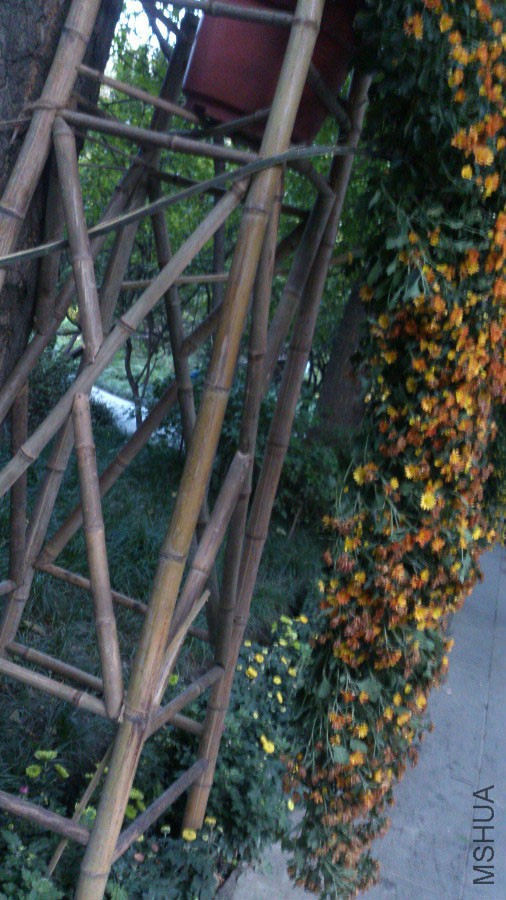 DSC_1052.jpg