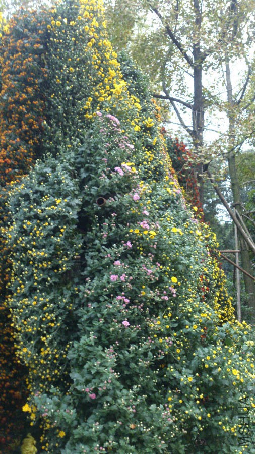 DSC_1055.jpg
