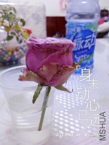 IMG_20151030_181901.jpg