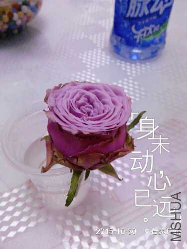 IMG_20151030_181906.jpg