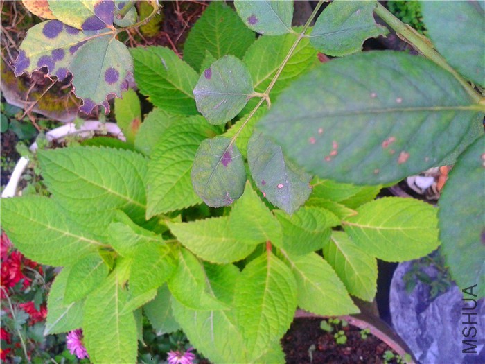 �޾��Ǹ���