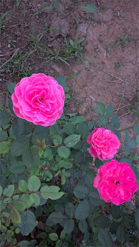 WP_20150817_18_09_58_Pro.jpg
